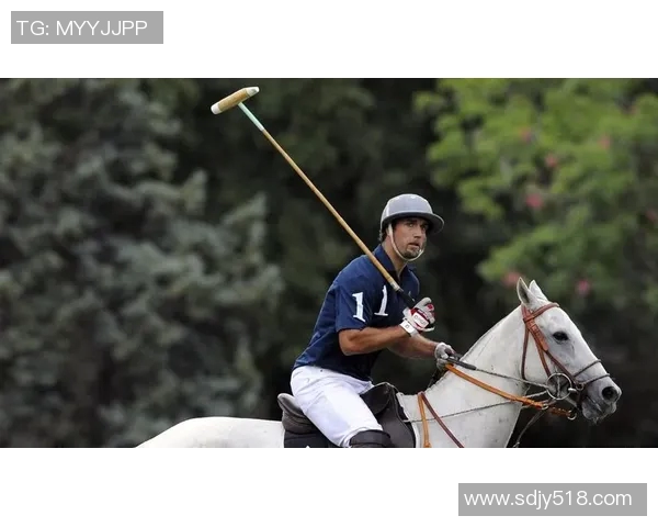 足球明星多才多艺的背后故事与他们的职业生涯成就分析