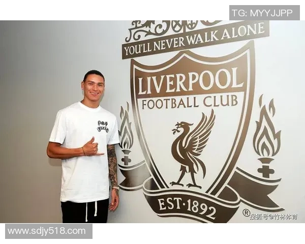 努涅斯在赛场上的崛起与挑战分析：从新星到顶级前锋的成长之路